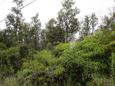 Lot 20, Malia Aina Rd, Volcano, Havaí 96785, Estados Unidos