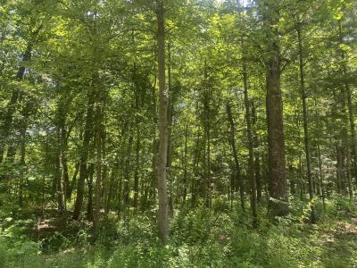 Lots 41-44 Campbell, La Porte, Indiana 46350, Amerika Birleşik Devletleri
