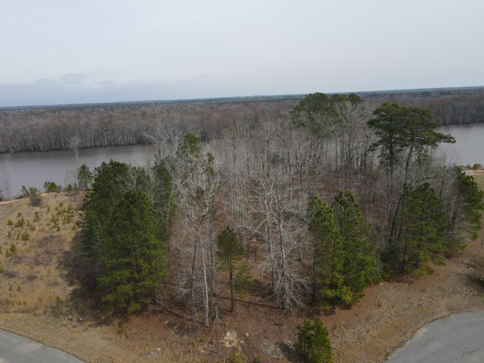 Lot 12 river Bluff Drive, Winton, North Carolina 27986, USA