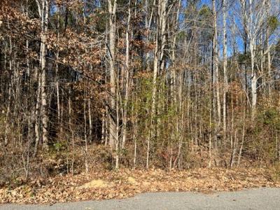 Tbd  Parker Street, Ahoskie, North Carolina 27910