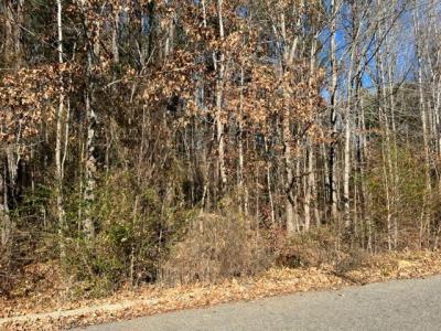 Tbd Parker Street, Ahoskie, North Carolina 27910, Stati Uniti