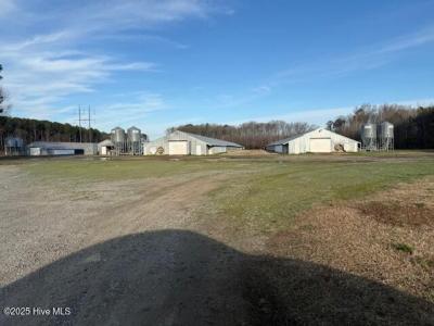 The End Of Will Slade Road, Woodland, NC 27897, USA