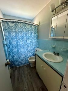 449 E. Jackson Street, Rich Square, ノースカロライナ 27869, アメリカ合衆国