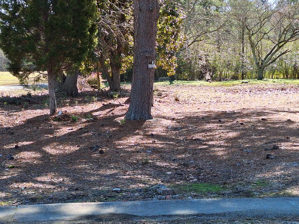 TBD Roberts Rd., Rich Square, ノースカロライナ 27869, アメリカ合衆国