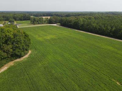 Tbd  Eagletown Rd Lot 4, Rich Square, Kuzey Karolina 27869, Amerika Birleşik Devletleri