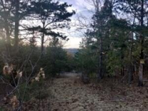 19641 Stonington RD, Omaha, Arkansas 72601, HOA KỲ