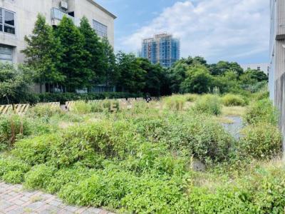 客運二段, 大園區, Taoyuan 337, Tayvan