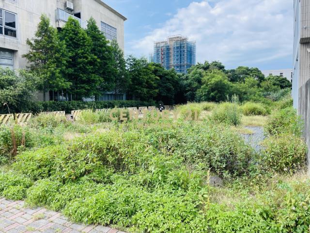 客運二段, 大園區, Taoyuan 337, Taiwan