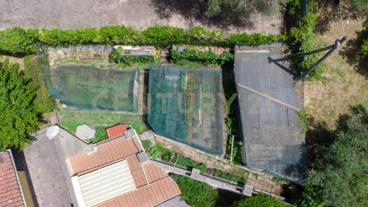 Strada Provinciale 10a, Sacrofano, Lazio 00060, イタリア