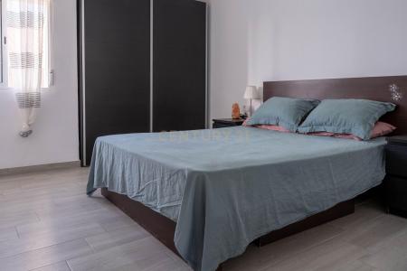 圣克鲁斯-德特内里费, Canarias 38660, 西班牙