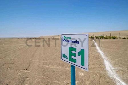 Panamericana Sur , Cañete, Lima 00001, פרו
