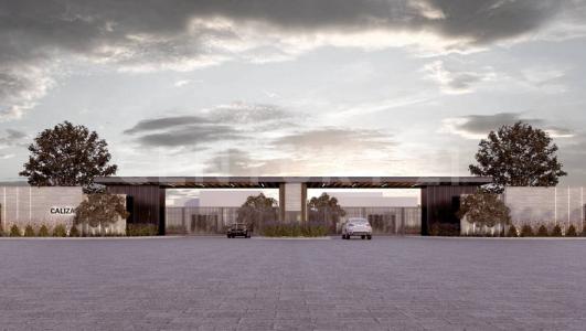 Cactus 100,, Arteaga, コアウイラ 25369, メキシコ