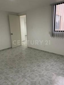 Calle 5 ,, Coyoacán, Ciudad De México 04870, メキシコ