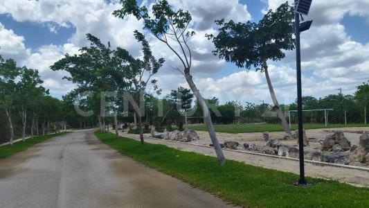 RESIDENCIAL PARQUE CAUCEL sn,, Hunucma, Юкатан 97350, Мексика