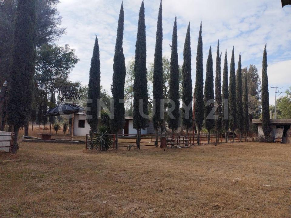 Atotonilco De Tula, Hidalgo 42980, México