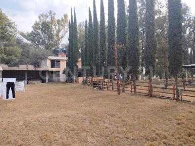 Atotonilco De Tula, Hidalgo 42980, México