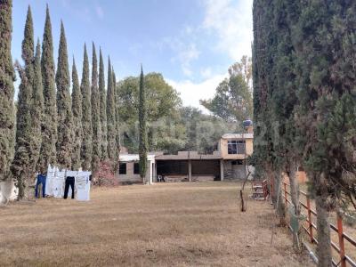 Atotonilco De Tula, Hidalgo 42980, México