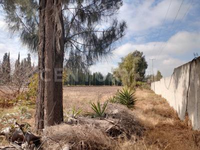 Atotonilco De Tula, Hidalgo 42980, México