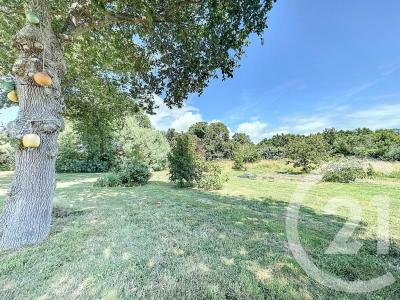 Le Tour Du Parc, Bretagne 56370, France