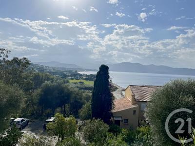 Patrimonio, Corse 20253, Frankreich