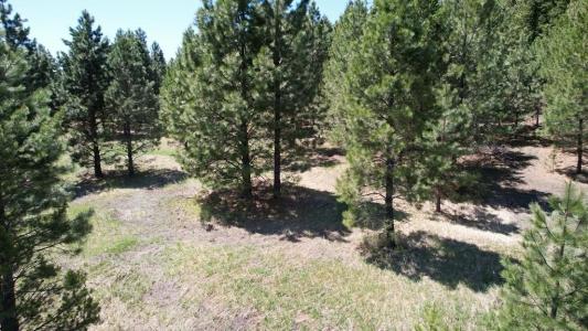 315 Barker Lane, Donnelly, Idaho 83611, USA