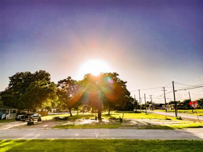906 Dr Martin Luther King Jr Boulevard, Waxahachie, Texas 75165, USA