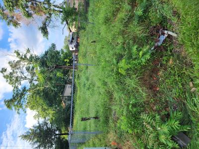 1101 S. Tenth Street, Mena, Arkansas 71953, USA