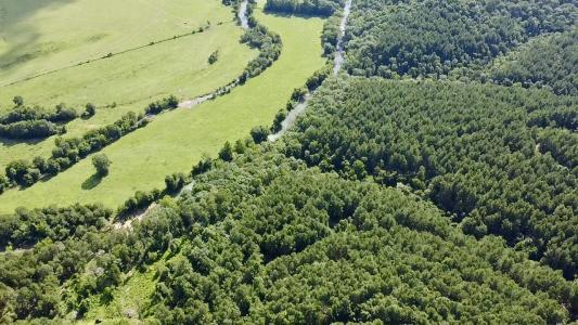 (Lot 13)  5.45 Acres Off PR 3629, Lamar, Arkansas 72846, USA