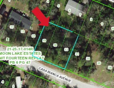 12905 Casa Bianca Ave, New Port Richey, Florida 34654, USA