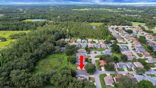 32942 Rambling Oaks Court, Leesburg, Flórida 34748, Estados Unidos
