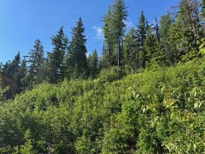 NNA Avalanche Dr, Sandpoint, 爱达荷州 83864, 美国