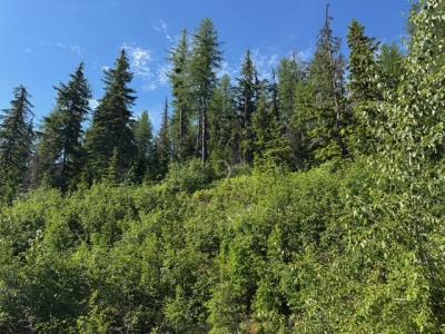 NNA Avalanche Dr, Sandpoint, 爱达荷州 83864, 美国