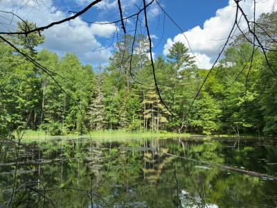 Lot 12 on Kein Rd, Mercer, Wisconsin 54547