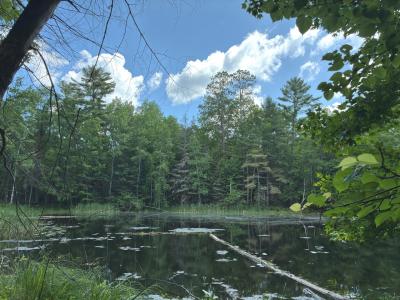 Lot 12 on Kein Rd, Mercer, Wisconsin 54547