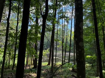 Lot 12 on Kein Rd, Mercer, Wisconsin 54547