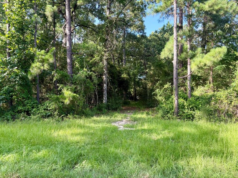 139 Oak Ridge Street, Huntington, Texas 75949