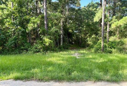 139 Oak Ridge Street, Huntington, Texas 75949