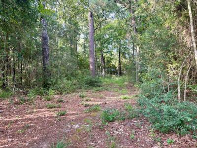 139 Oak Ridge Street, Huntington, Texas 75949