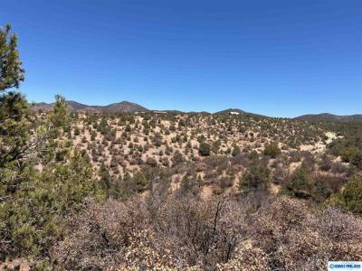 26 Babbling Brook Rd., Silver City, NM 88061, USA