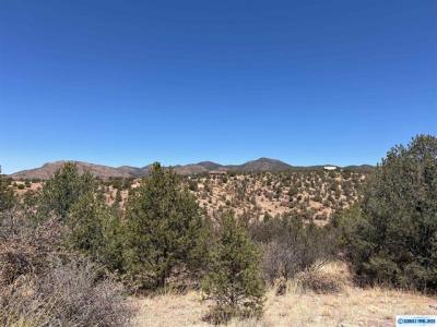 26 Babbling Brook Rd., Silver City, 新墨西哥州 88061, 美国
