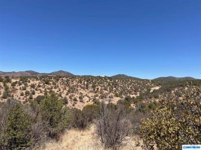 26 Babbling Brook Rd., Silver City, 新墨西哥州 88061, 美国