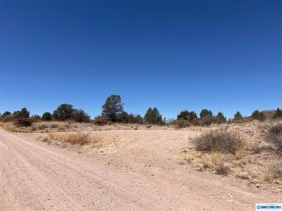 26 Babbling Brook Rd., Silver City, 新墨西哥州 88061, 美国