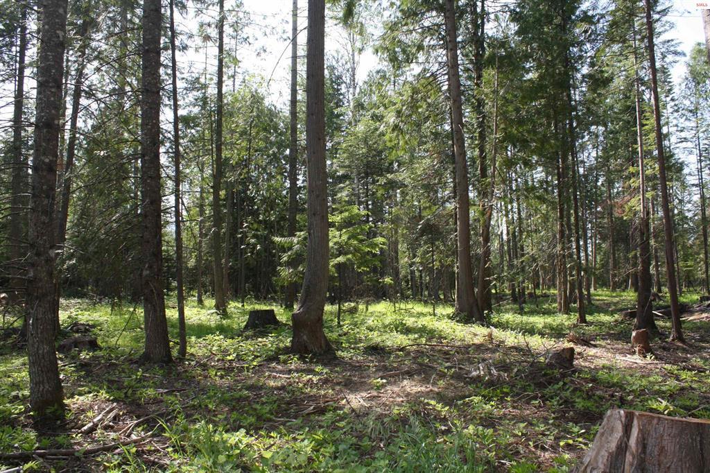NNA River Lake Dr, Clark Fork, Idaho 83811, Estados Unidos
