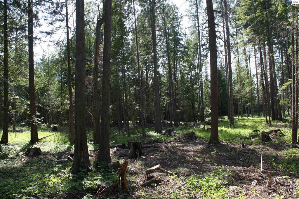 NNA River Lake Dr, Clark Fork, Idaho 83811, HOA KỲ