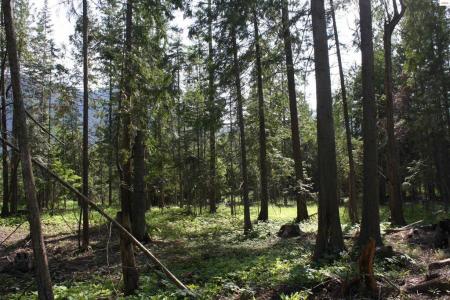 NNA River Lake Dr, Clark Fork, Idaho 83811, HOA KỲ