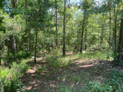 787 Polk Road 67, Mena, Arkansas 71953, HOA KỲ