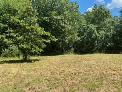787 Polk Road 67, Mena, Arkansas 71953, USA