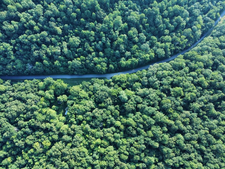 0 Baggett Hollow, Cunningham, Tennessee 37052, États-Unis