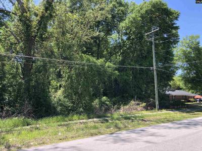 0 Hampton Street, Denmark, SC 29045, USA