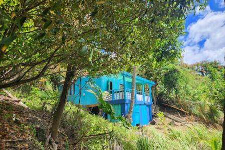 Clear Skies - Beach House, Lance aux Epines, St.George West Indies, Grenada
